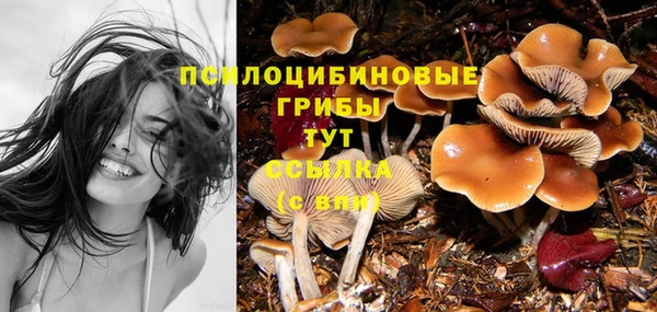 крисы Новокубанск