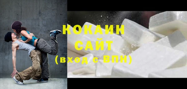 твердый Новозыбков