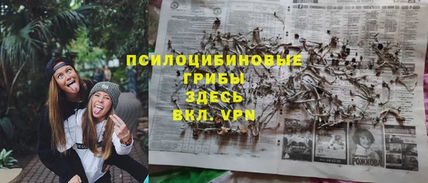 ALPHA-PVP Алексеевка